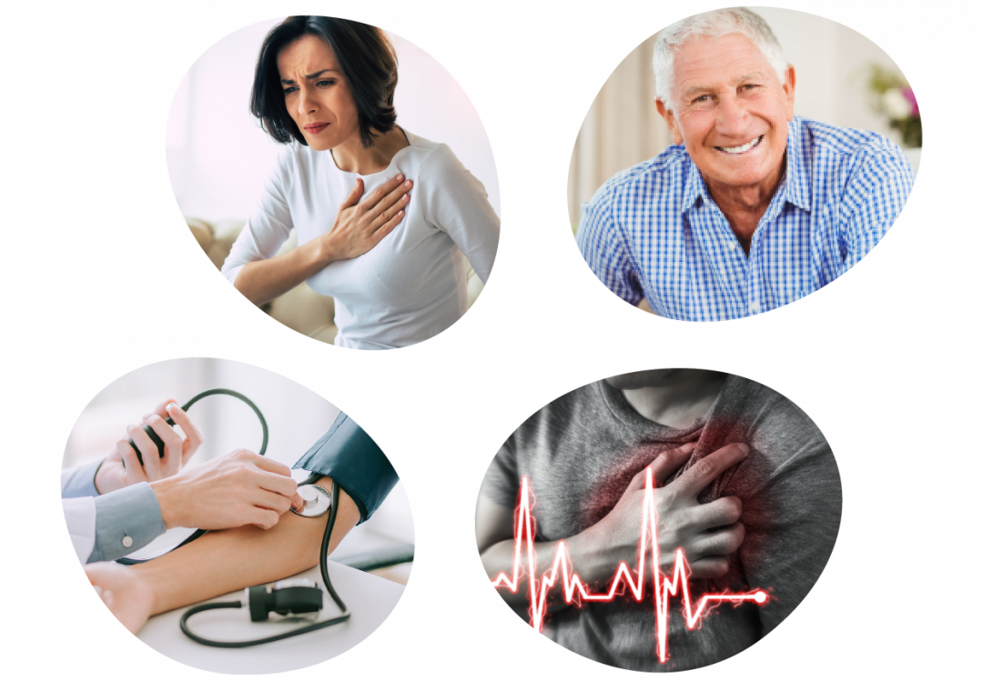 Healthy heart, protection, Hawthorn, L-Asparagine, Potassium, Magnesium, Garlic, Vitamin B6, normal heart beat, blood pressure, diuretics